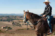 Italy-Umbria-Parelli Natural Horsemanship & Trails in Umbria
